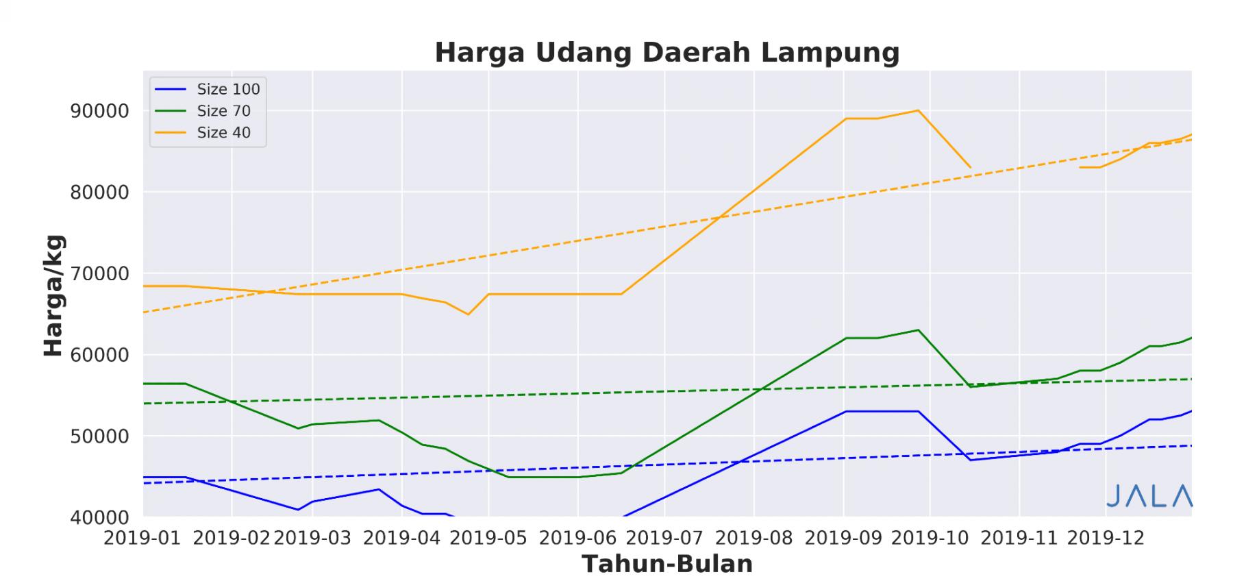 harga udang daerah lampung